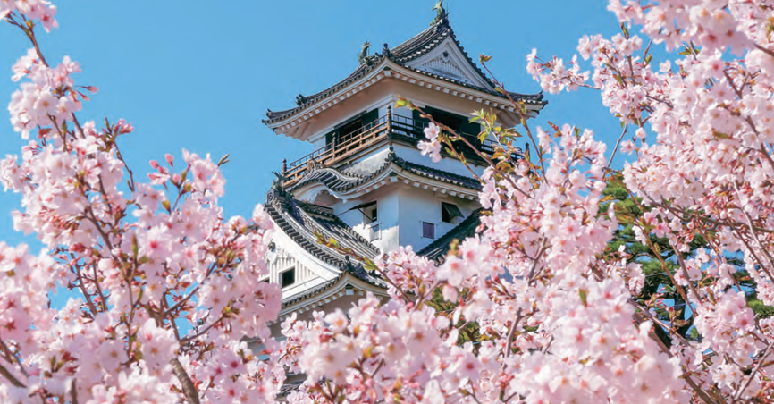 郵輪船票-三井海洋郵輪 三井海洋富士號 6天5晚 春季世界遺產四國 (高知、小松島)和濟州島郵輪船票